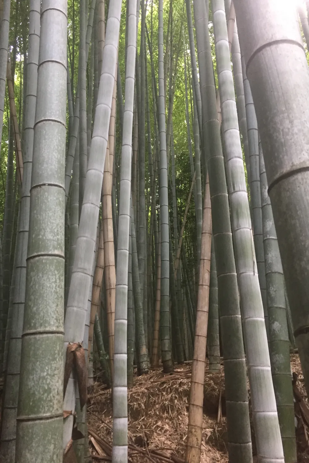 Sin título (3) Sin título (3)