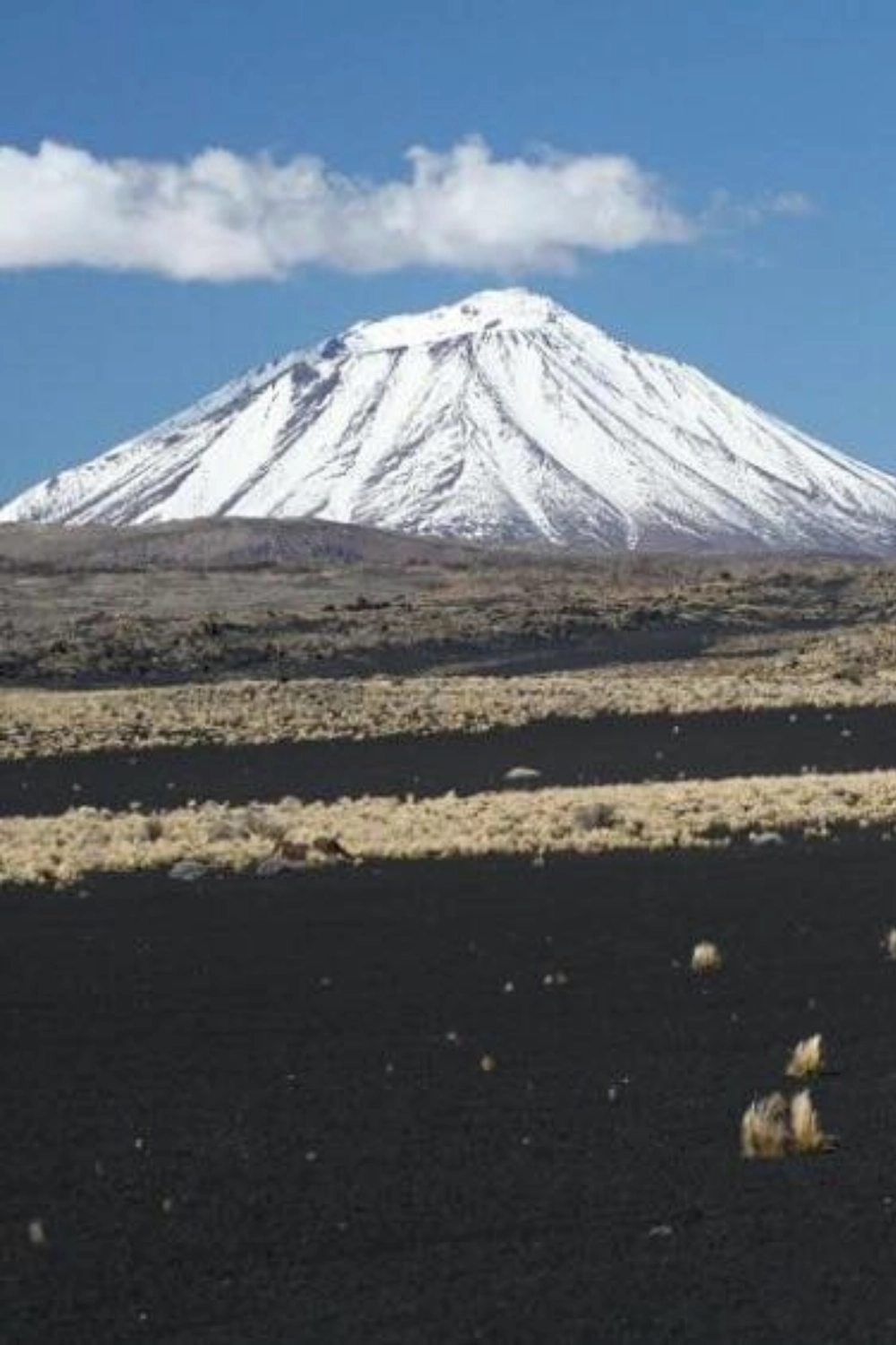 Sin título (4) Sin título (4)