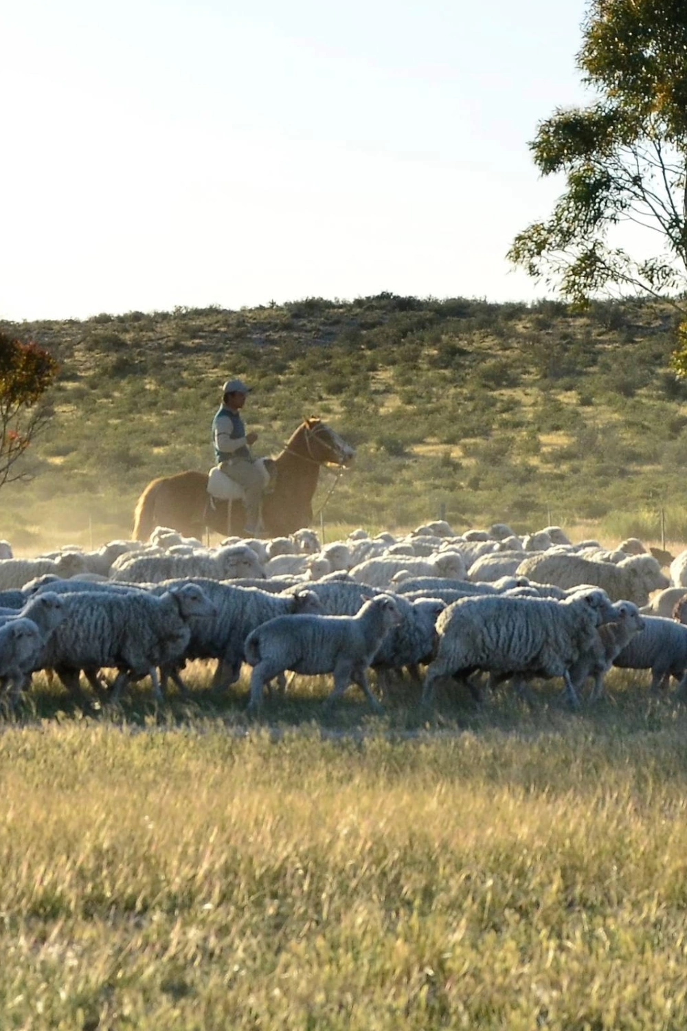 Sin título (4) (1) Sin título (4) (1)